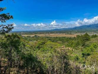 Natural stream with forest trees and sunlight along land in Jaramillo, Boquete Panama