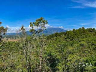 Land for Sale in Jaramillo - 0 bedrooms