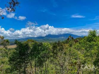 Dense forest with mountains and blue sky on Jaramillo land lot in Boquete