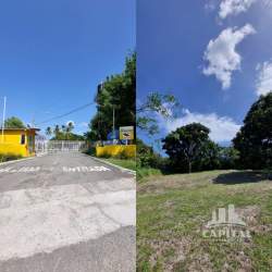 Entrance with yellow security booth and access gate at Los Lirios Residential Las Uvas Panama