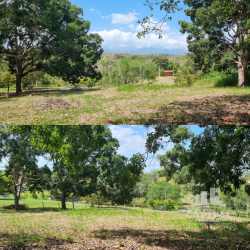 Open land plot with trees and mountain views at Los Lirios Residential Panama