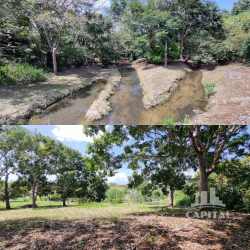 Natural stream surrounded by greenery on Los Lirios land lot in Panama
