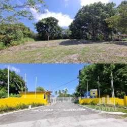 Vacant lot with mature trees and gated entrance at Los Lirios, Las Uvas, San Carlos