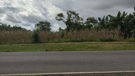 Corner rural lot with lush grasses and trees on paved Via Volcan road Bugaba Chiriqui