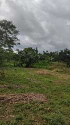 Expansive country lot with natural vegetation and mountain scenery in Bugaba Chiriqui Panama