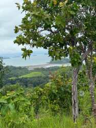 Open flat land near trees under clear blue sky perfect for hotel or resort at Playa Morrillo Panama
