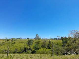 Land for Sale in Rio Sereno - 0 bedrooms