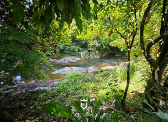 Prime Panama farm property with highway frontage multiple lanes and clear skies in Sajalices Chame