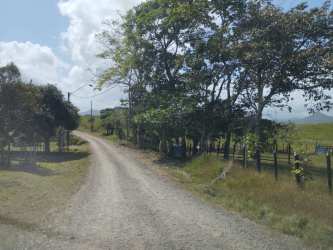 Natural terrain with trees, partially clear area on 5 hectare farmland Capira Panama