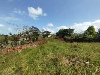 Green countryside farmland with trees and rural fencing Capira Panama