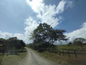 Open grassy land with scattered trees and partial fencing 5 hectares Capira Panama