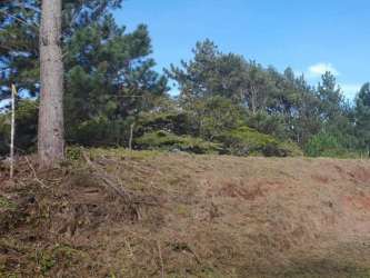 Hilltop lot with gentle slope and panoramic nature views in Altos del María Panama