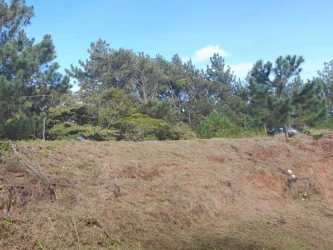 Paved community access road with utility poles bordering land lot in Altos del María Panama