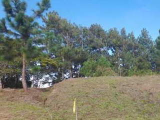 Land for Sale in Chame - 0 bedrooms