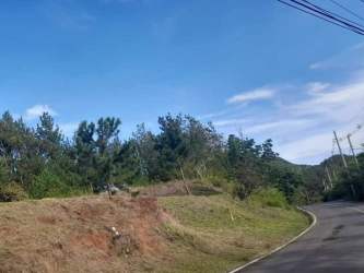 Lot surrounded by pine trees and lush mountain vegetation in Altos del María Panama