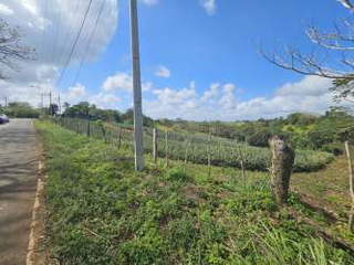 Agricultural Land for Sale in Las Yayas - 0 bedrooms
