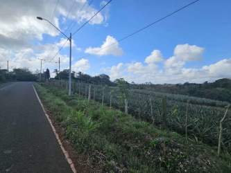 Paved road fronting fenced cultivation land in Las Yayas La Chorrera Panama