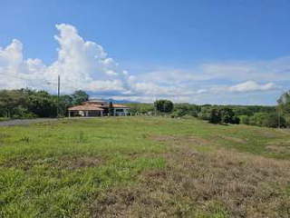 Land Lot for Sale in Chame - 0 bedrooms