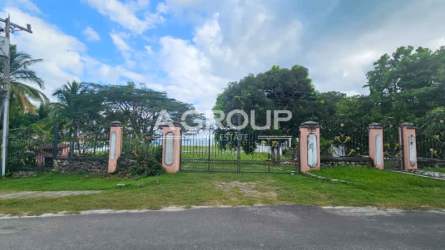 Palm trees and beachfront gazebo potential area on Coronado land for sale