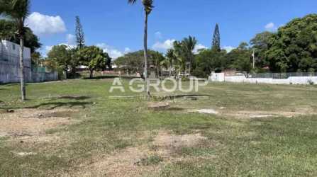 Large fenced tropical beachfront lot with palm trees under blue sky in Playa Coronado Panama