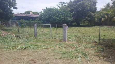 Cleared residential lot fenced with greenery Via Colonial Coronado