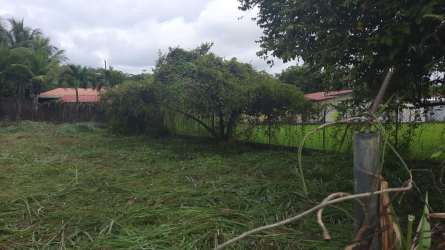Flat empty fenced plot with surrounding houses Via Colonial Coronado Panama