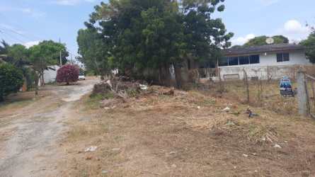 Vacant fenced lot in Coronado with mature tree and for sale sign Panama