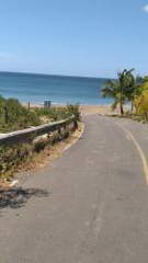 Farm / Hacienda / Beachfront Land for Sale in Tonosí - 7 bedrooms