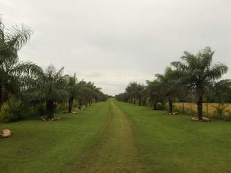Resort style swimming pool with ocean view at Pedasi beachfront hacienda Panama