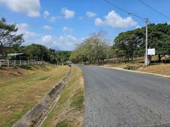 Aerial image of rural 5000m2 land in Capira Panama with fields and trees