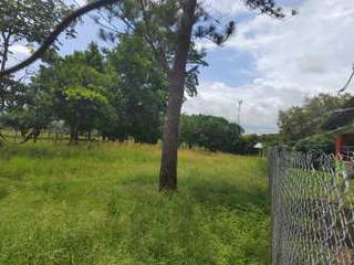 Land for Sale in Capira - 0 bedrooms