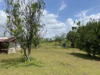 Open grassy area with scattered trees and rustic outbuilding under blue sky in Cerro Cama Panama