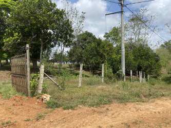 Entrance with wooden gate, barbed wire fence and utility pole in rural Cerro Cama Capira Panama