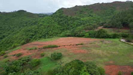 Open cleared residential lots surrounded by lush forest hillside Las Lajas Panama Oeste