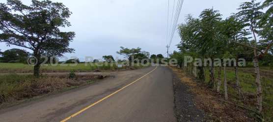 Countryside paved road with trees and power lines Pedasi Panama