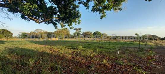 Expansive flat land parcel ideal for development in Pedasi Panama