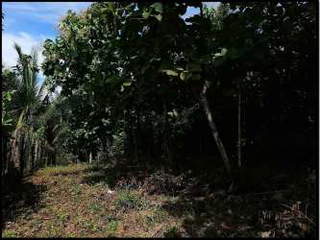 Land for Sale in Santiago - 0 bedrooms