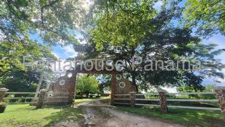 Rustic countryside gate fencing mature trees estate entry in San Carlos Panama