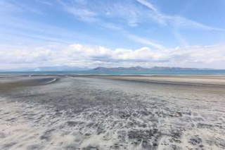 Land for Sale in Nueva Gorgona - 0 bedrooms