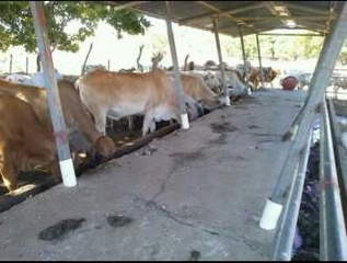 Farm / Ranch Land with House for Sale in San Francisco - 1 bedroom