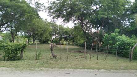 Fenced grassy lot with mature trees and bushes just steps from the Pacific Ocean in Playa Malibu Panama