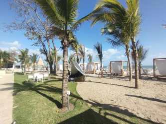 White sand beach with palm trees and Pacific Ocean waves at Playa Caracol in Panama