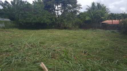 Spacious fenced land ready to build with metal gate and trees Nueva Gorgona Panama