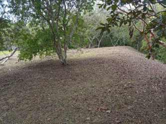 Natural wooded parcel with mature trees in Hacienda La Florenciana gated community