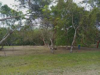 Vacant lot with trees inside gated community near Coronado beaches Panama