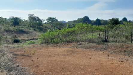 Undeveloped rural property in Coloncito Santiago Panama with green vegetation and blue sky