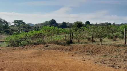 Open residential lot with mountain backdrop in Coloncito Santiago Panama