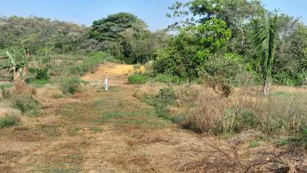 Vacant scenic countryside land surrounded by natural vegetation and trees in Santiago Panama