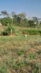 Land for Sale in Soná - 0 bedrooms