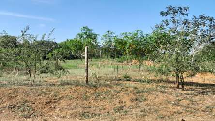 Vacant semi-flat residential plot surrounded by countryside near Santiago Panama